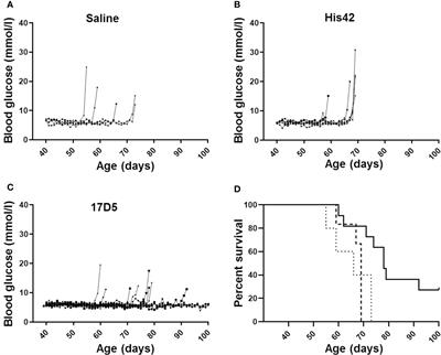 The Vbeta13 T Cell Receptor Monoclonal Antibody Reduces Hyaluronan and CD68+, CD3+, and CD8+ Cell Infiltrations to Delay Diabetes in Congenic BB DRLyp/Lyp Rats